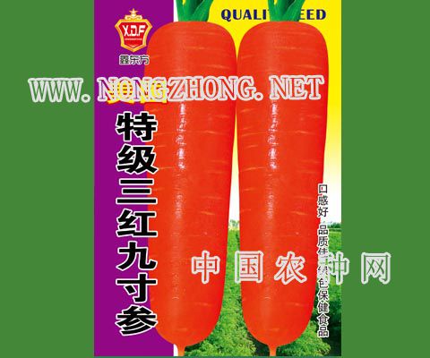 美国特级三红九寸参